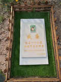 宠物墓地